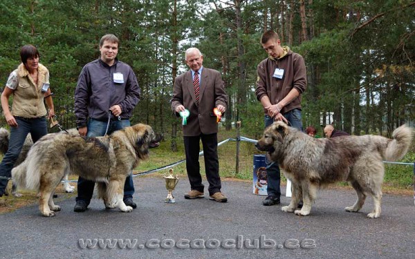 CAO&CO CLUB SHOW. TALLINN 2009.